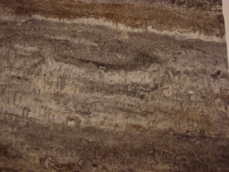 Silver Travertine